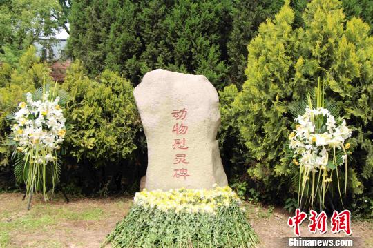 西安交大举行医学实验动物祭 一束黄菊表敬意