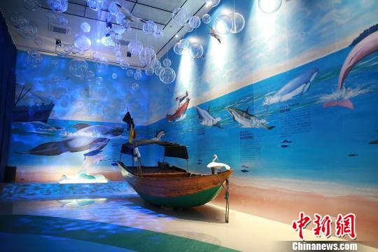图为该馆用图片向民众介绍白海豚。 曾开宏 摄