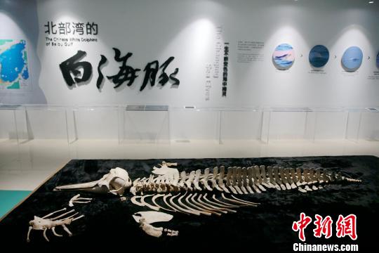 图为馆内的展示品。 曾开宏 摄
