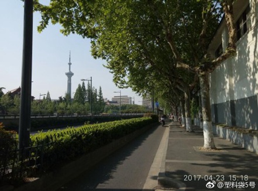 昨天,南京暖阳高照。图片来源@微博网友