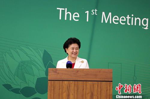 中国-南非高级别人文交流机制召开首次会议