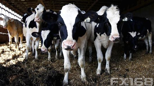 一则消息引发欧元急涨 美加贸易战打响特朗普