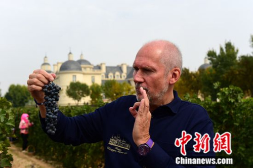 《每日邮报》报道称:张裕葡萄酒进入英国Tesco