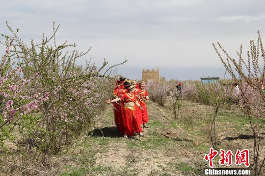 图为26日梅园里阳光明媚,游客徜徉花海之间。 袁晶 摄