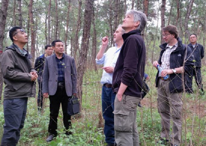 湖北省孝感市审计局与德方专家一道深入开展外