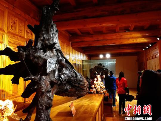 青海最大民间博物馆开馆 现大量乌木艺术品|乌
