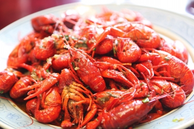 去年秋虾唱主角 价格普涨近五成 虾一跳 一只