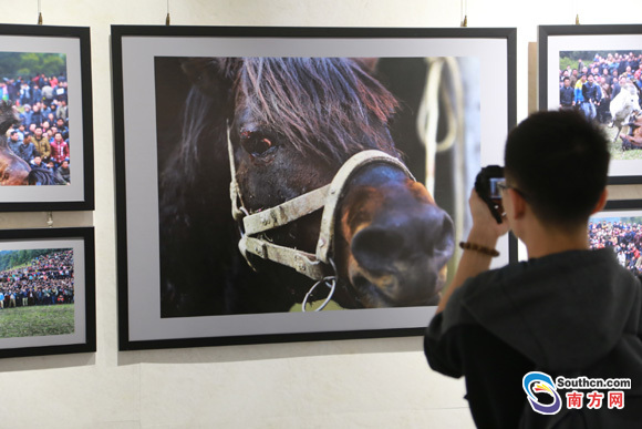 广东荷赛获奖作品展在莞开幕 本报多名记者获