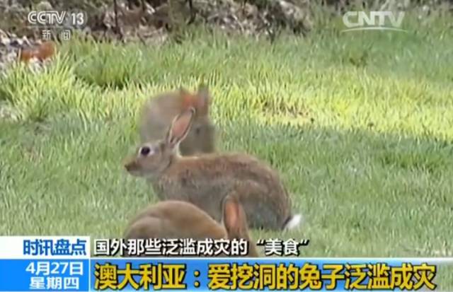 ▲图片来源：央视新闻