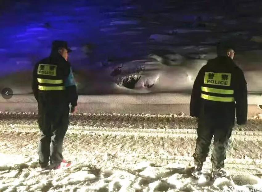 封锁、航班取消…这是四川甘孜的4月|折多山|康