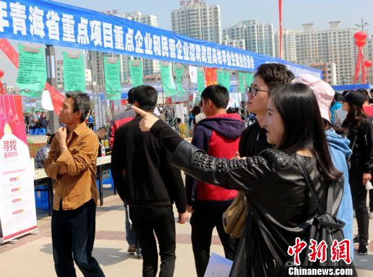 青海重点企业和民营企业招聘周落幕|青海省|