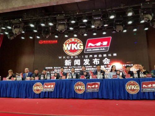 发布会现场。主办方供图