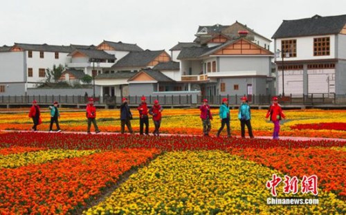 中青旅说说惠水好风光有奖征文大赛启动|惠水