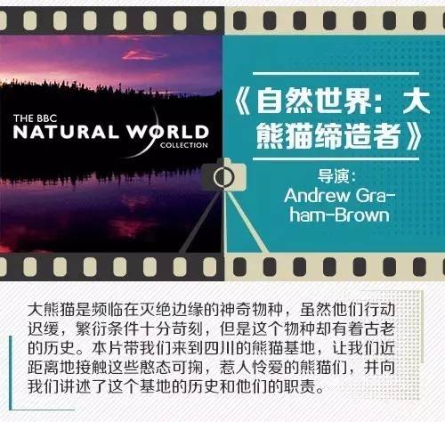 自然世界：大熊猫缔造者_最适合给孩子观看的30部纪录片 秒杀1000部动画片！第10张