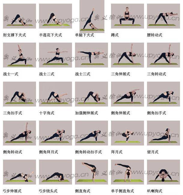 219个入门瑜伽体式先收藏吧