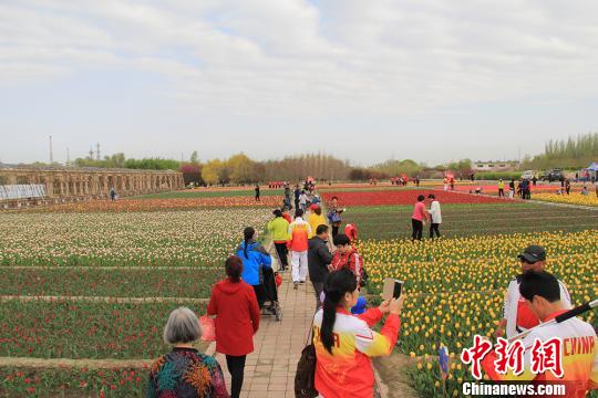 图为游客纷纷拿出手机与花合影。 袁晶 摄