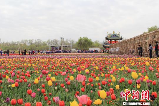图为新疆克拉玛依市独山子区郁金香花节开幕,园内人群拥挤。 袁晶 摄