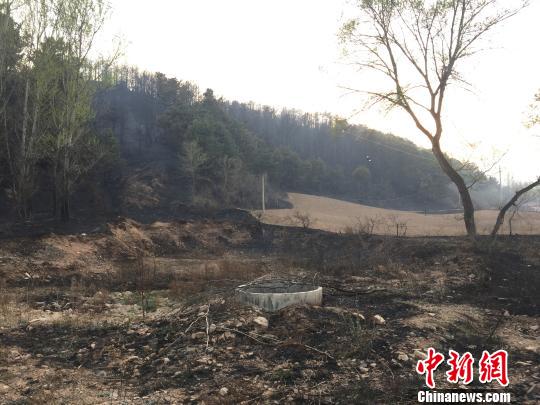 北京赛车pk10五码