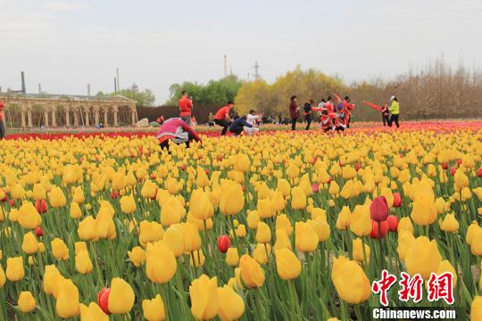 图为游客蹲下与花合影。 袁晶 摄