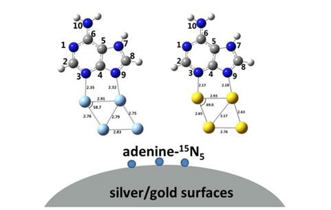 金银纳米材料表面生物分子吸附及SERS光谱研