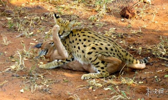 如此黑丝的秘书 你要么 囧图女孩子哪里最紧你