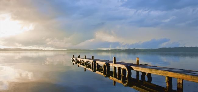 美食达排行_11月美食APP排行:好豆菜谱用户数达5000万稳居首位