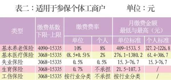 新年度社保个人缴费基数开始申报|失业|缴费|基