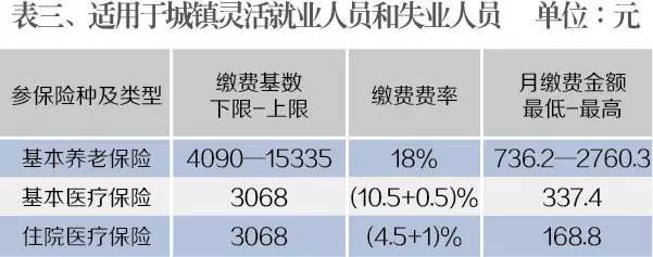 新年度社保个人缴费基数开始申报|失业|缴费|基