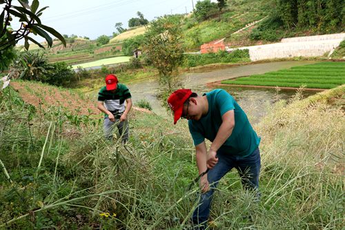 合川:五四青年节 年轻干部一学一做见行动|