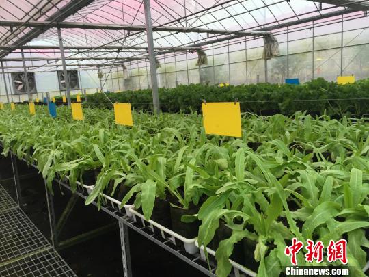 浙江优化对台企服务 500亿融资授信额度促创新