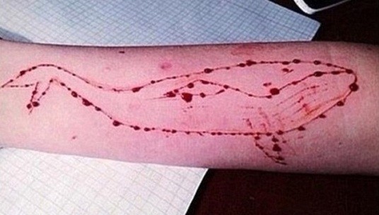 一场游戏引发的集体自杀:从恐怖片、自残到结