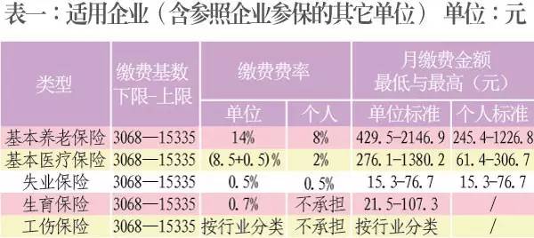 新年度社保个人缴费基数开始申报|失业|缴费|基