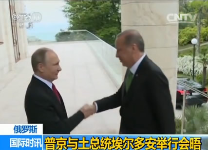普京与土总统埃尔多安举行会晤 俄土关系正全