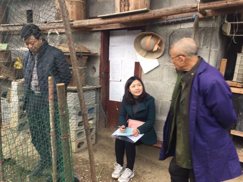 幺女爱心温暖孤寡老人 鸡点子托起致富梦|张