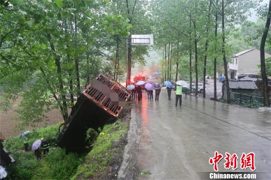 裝載50頭生豬的貨車沖下路基 胡傳賓 攝