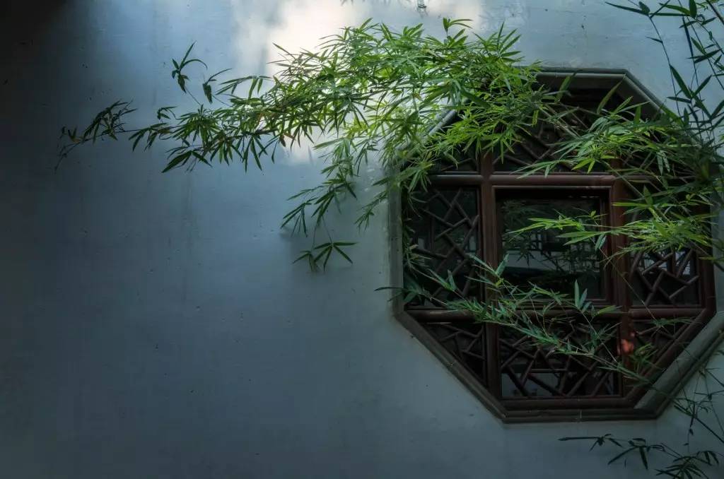 夜读 | 立夏:四时天气促相催 一夜熏风带暑来