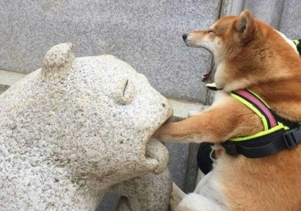 每日轻松一刻5月4日 后院起火!狗哥你被你的员工炒了_八卦趣闻_新浪游戏_新浪网