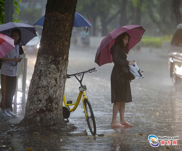 上班路上，广州电闪雷鸣暴雨如注