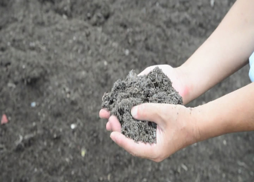 上海人把家里垃圾涂到了脸上?啥情况?|垃圾|垃