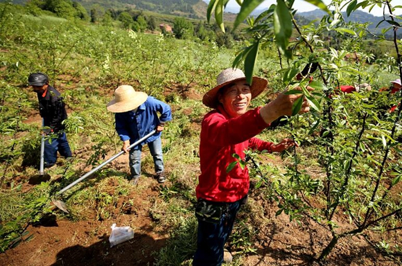 梁平蟠龙镇有多少人口_梁平蟠龙镇海尔(3)