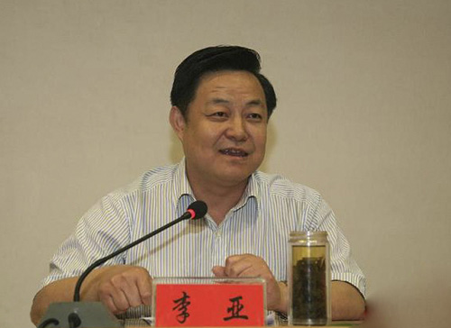 省地税局副局长李亚谈税收服务一带一路|李亚