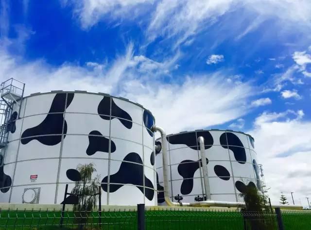 贴牌奶粉海外急买工厂 应对配方注册|贴牌|奶粉