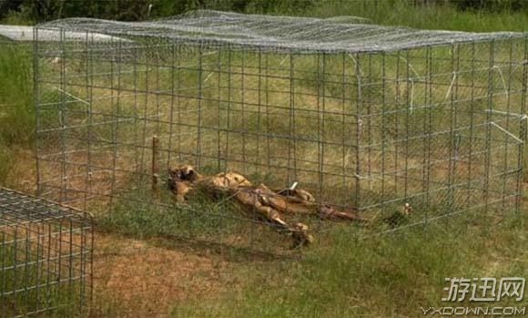 8000木乃伊陈列在此!全球十大最“恐怖”的旅游景点