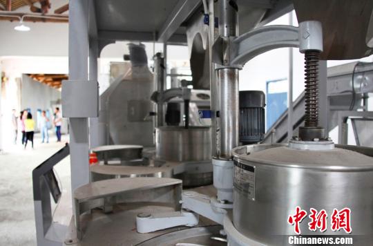 专家组探讨茶叶全自动化加工流水线的试验方案 黄献光 摄