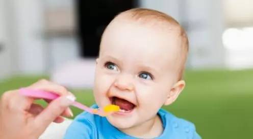 六个月宝宝喂养最关键的是什么?|宝宝|蛋黄|菜