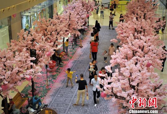 5月7日,在厦门一商场内,成片的粉色樱花树布置再现了樱花盛开时的美景,吸引许多市民前来游玩观赏。 张斌 摄