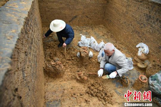图为工作人员正在进行挖掘作业。 陈啸 摄
