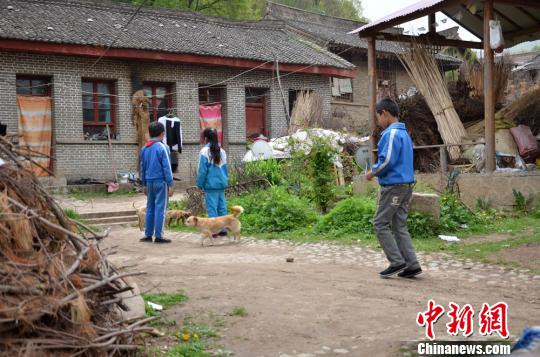吃过午饭的几个被“陪读”的孩子,在租住的破旧院落里一起玩耍。 冯志军 摄