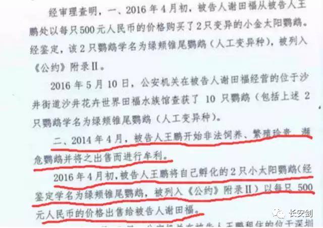 (图:该案一审判决书截图)