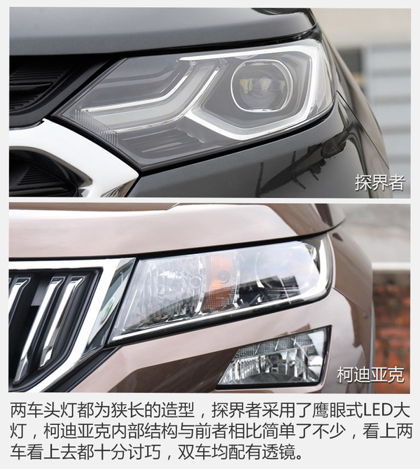 山姆大叔偶遇棕熊 谁才是最后的胜利者